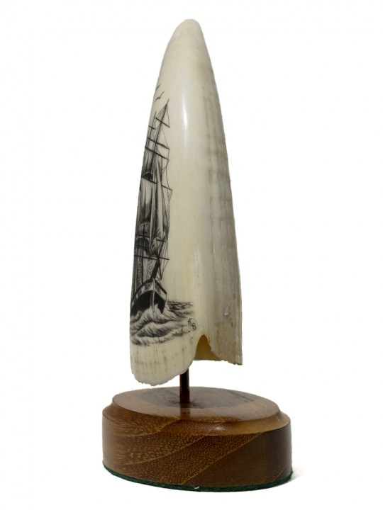 Coming Into Port - Image 3