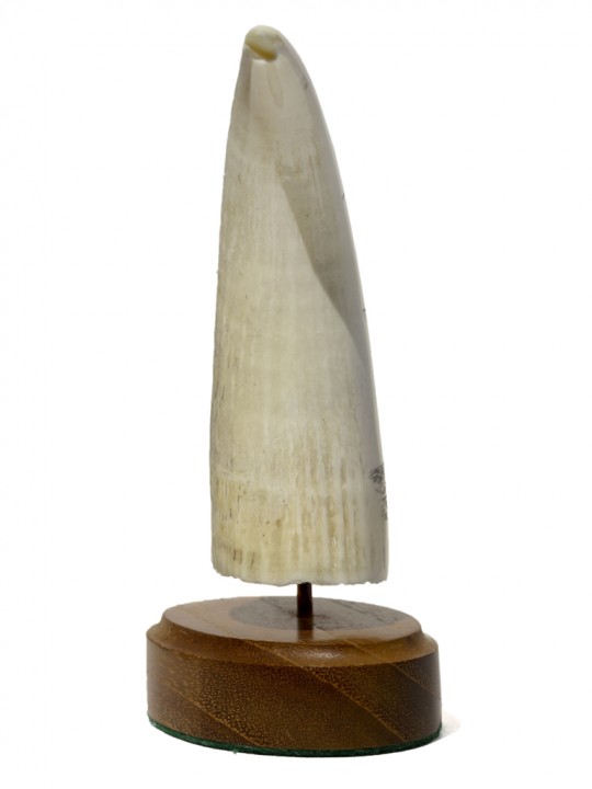 Coming Into Port - Image 5