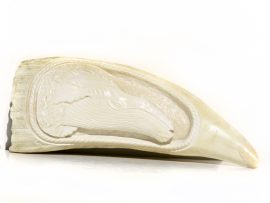 Whale’s Tooth Carving – Humpback Whale