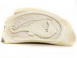 Whale’s Tooth Carving – Seahorse