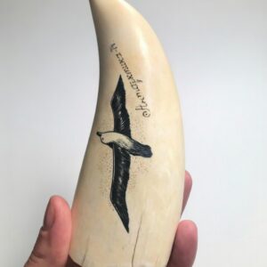 Scrimshaw